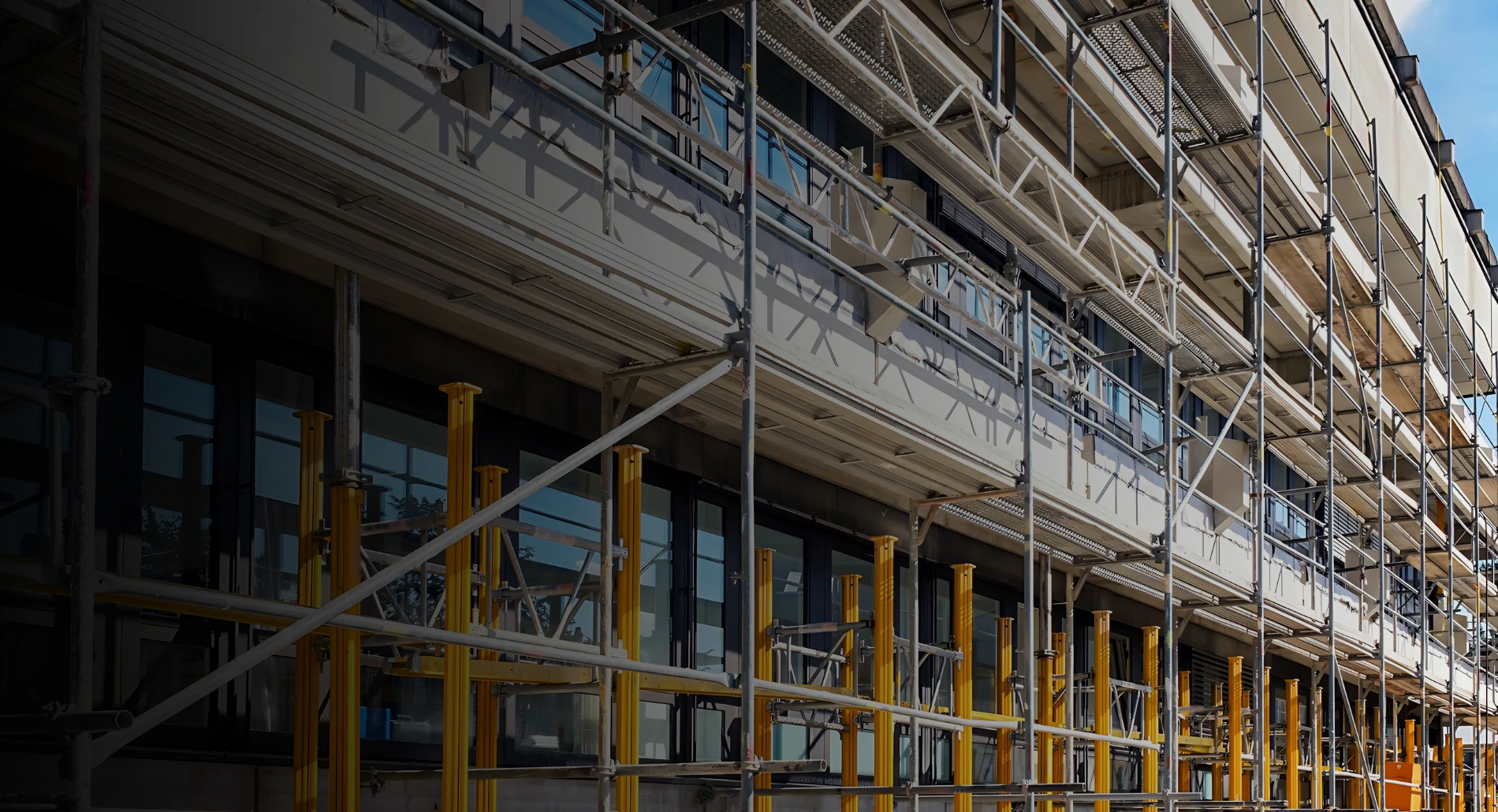 nis inzenjering skele